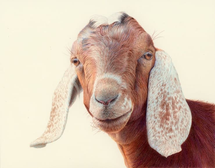 Nicolas Sanchez, Drifting, 2024