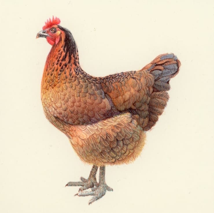 Nicolas Sanchez, Moonwalker, 2024