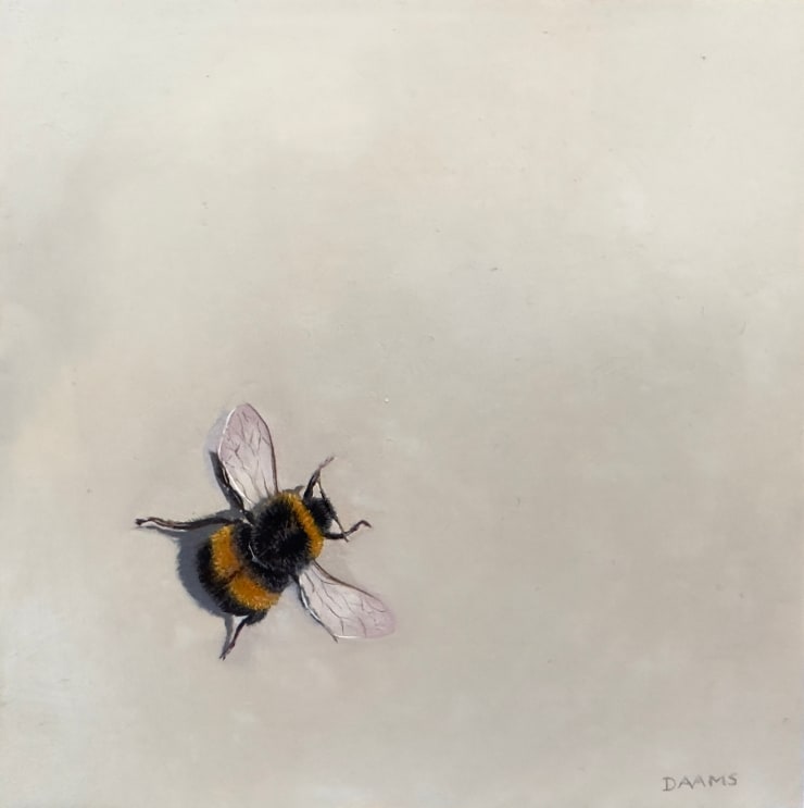 Judith Daams, Bumblebee, 2023