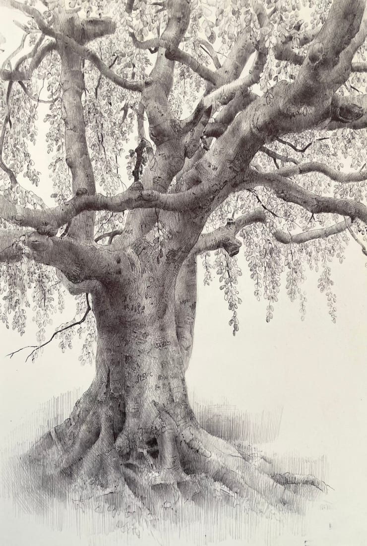 Dina Brodsky, The Overstory XIV, 2023