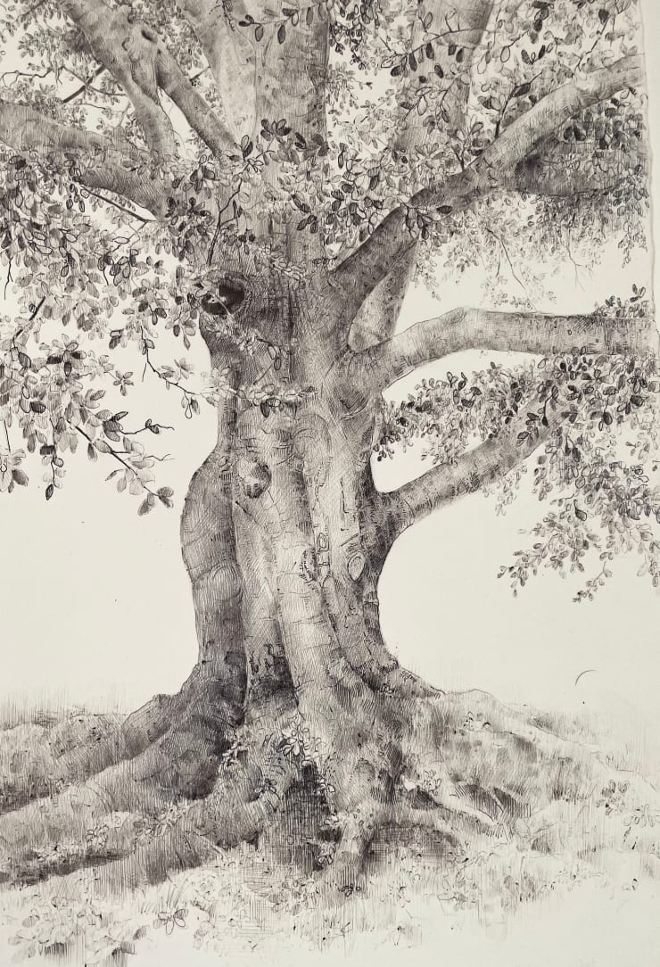 Dina Brodsky, The Overstory XV, 2023