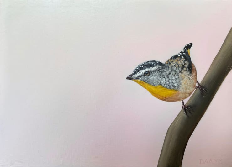 Judith Daams, Spotted pardalote, 2023