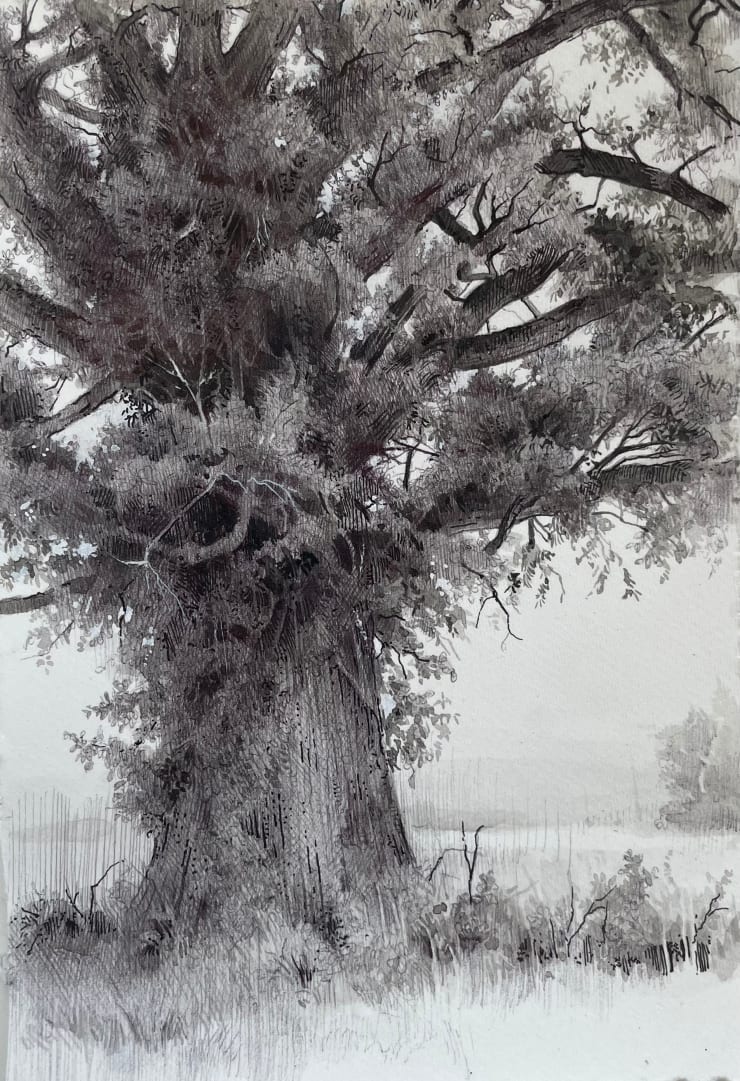 Dina Brodsky, The Overstory IX, 2024