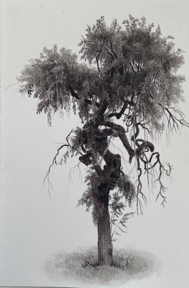 Dina Brodsky, The Overstory III, 2023