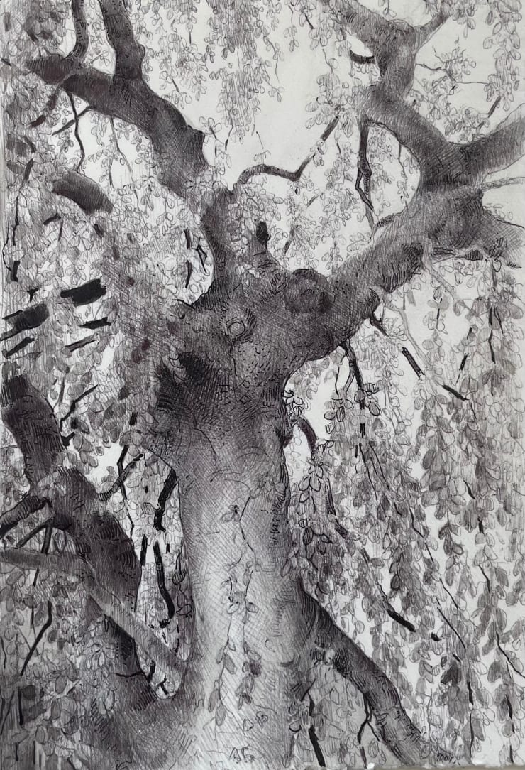 Dina Brodsky, The Overstory IV, 2023