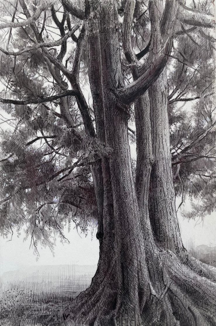 Dina Brodsky, The Overstory VI, 2023