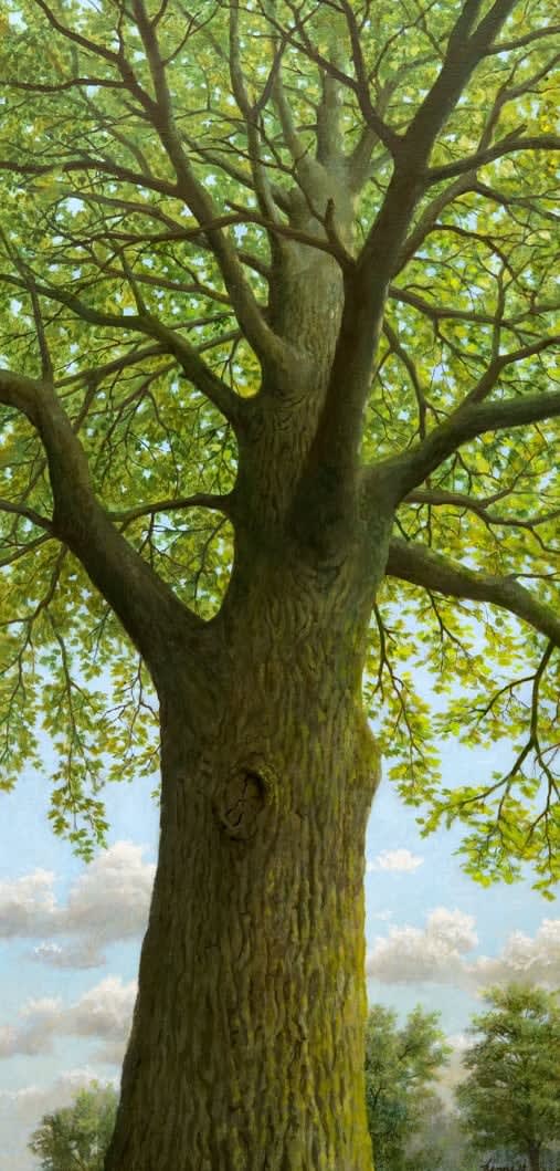 Kenne Grégoire, Onder de boom, 2020