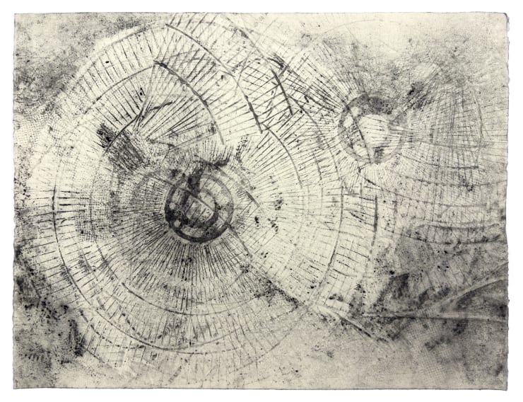 Vy Trinh, Fan Dust 14, 2025