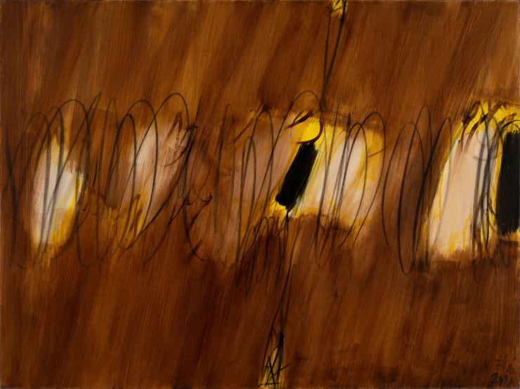 Tran Van Thao, Shadows V, 2010