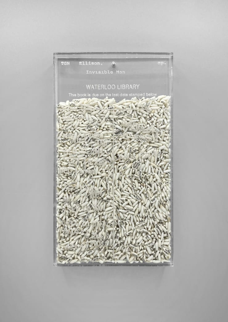 Trong Gia Nguyen, Ellison: Invisible Man, 2020