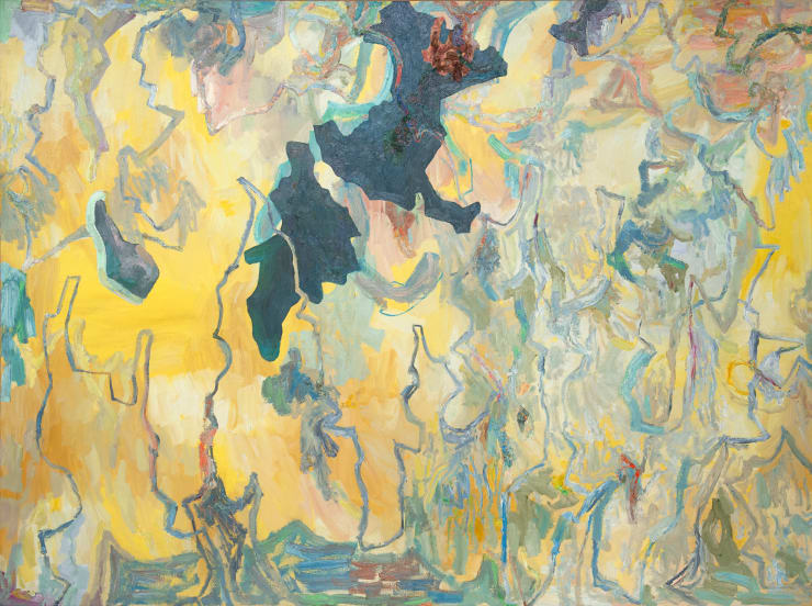 Hoàng Dương Cầm - Pre-helicopter Era, Michael Rabin in the middle of Dong Thap Muoi or Bach Violin Sonata 1005 Adagio, 2021