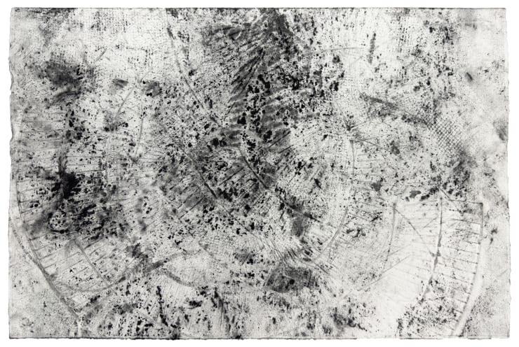 Vy Trinh, Fan Dust 10, 2025