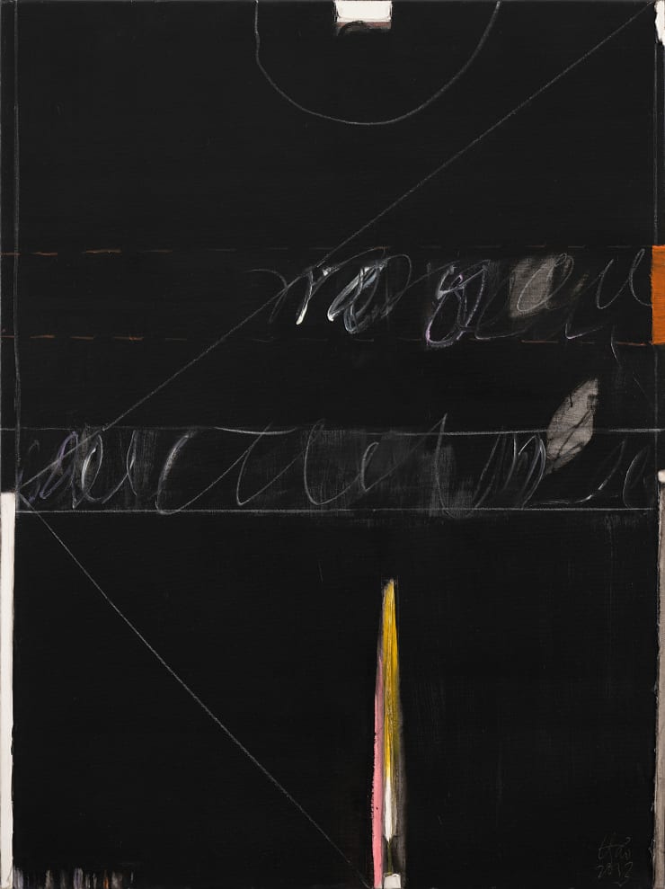 Tran Van Thao, Immersion #10, 2013