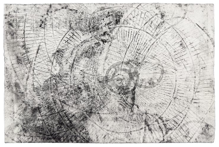 Vy Trinh, Fan Dust 11, 2025