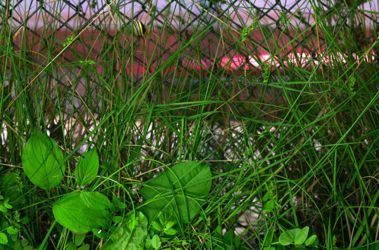 Till Könneker, Close Encouters V, 2015