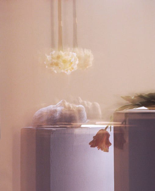 Roberto Greco, Refléter son Narcisse (Reflecting its Narcissus) #6, 2020
