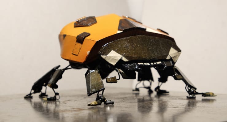 Remo Lienhard / WES 21, Lucky, 2017