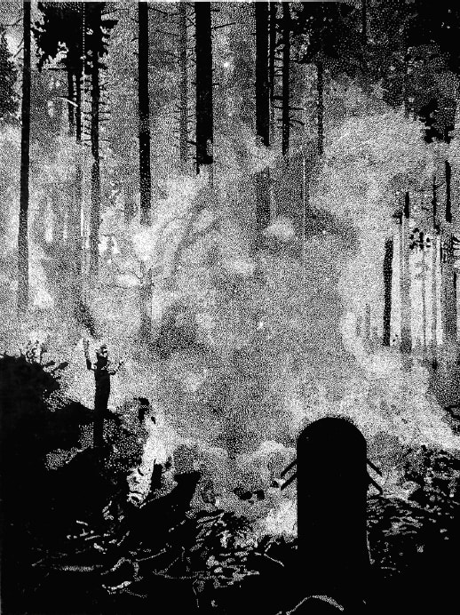 Sebastian Speckmann, Hain, 2017