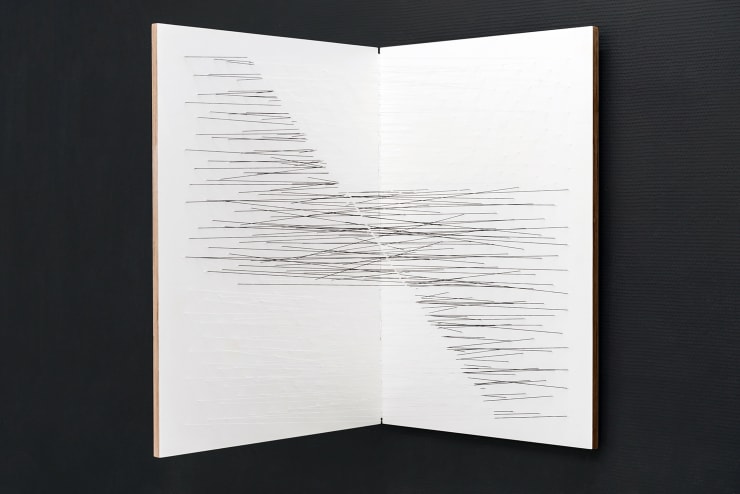 Jeongmoon Choi, Fault 1, 2015