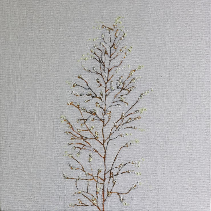 Nelun Harasgama, Leersia Hexandra. Asiri Pillakai. Layoo, 2025