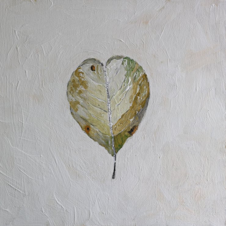 Nelun Harasgama, Manilkara Hexandra. Pallai. Palu I, 2025