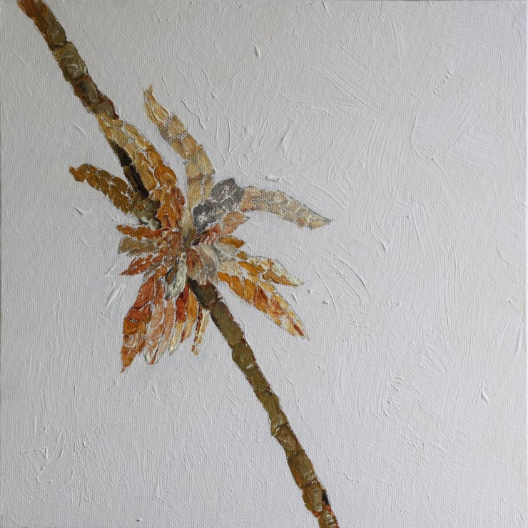 Nelun Harasgama, Schoenoplectiella Articulata. Gata Pan I, 2025