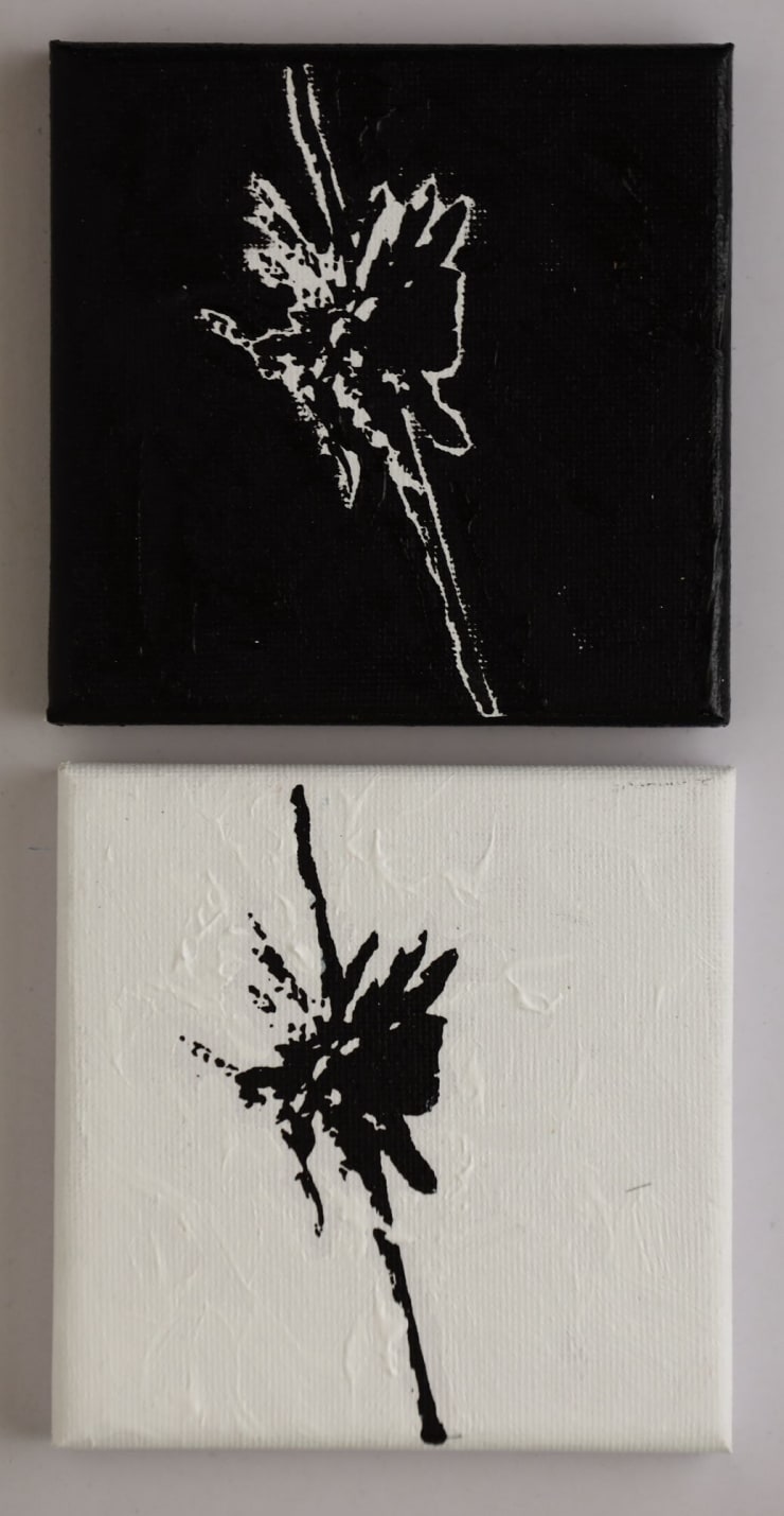 Nelun Harasgama, Lost 4 (set of 2.), 2025