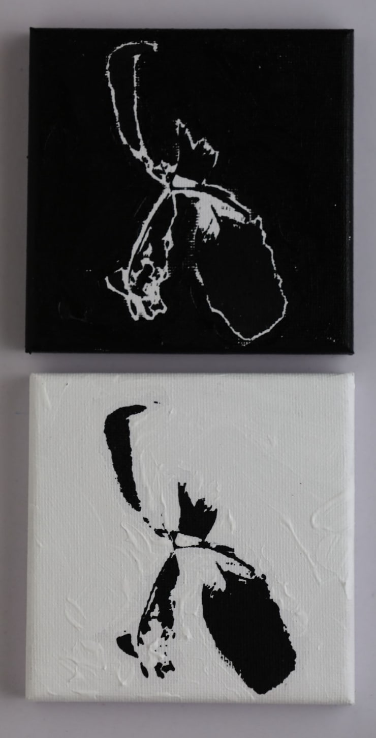 Nelun Harasgama, Lost 2 (set of 2.), 2025