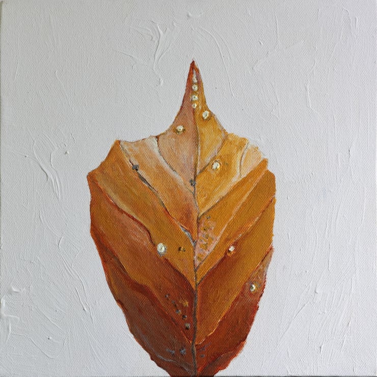 Nelun Harasgama, Pterospermum Suberifolium. Taddai. Velung I, 2025