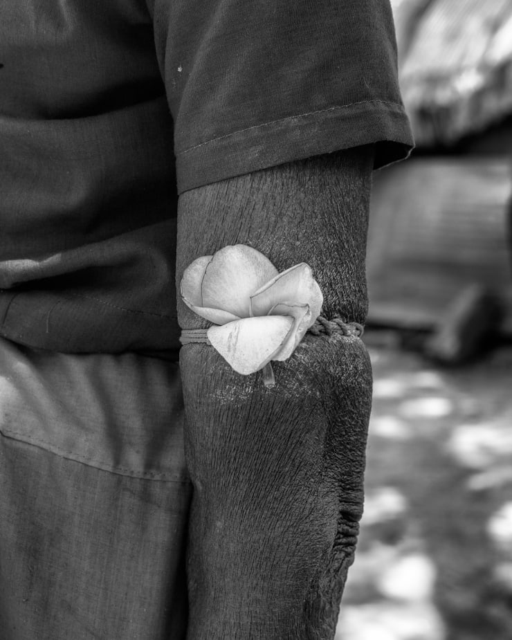 Tavish Gunasena, Shiva devotee and caretaker IV, 2022