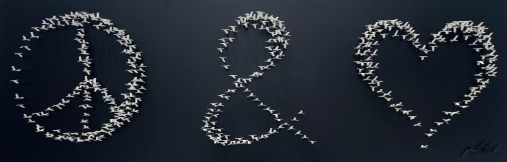 Joel Amit, Peace & Love