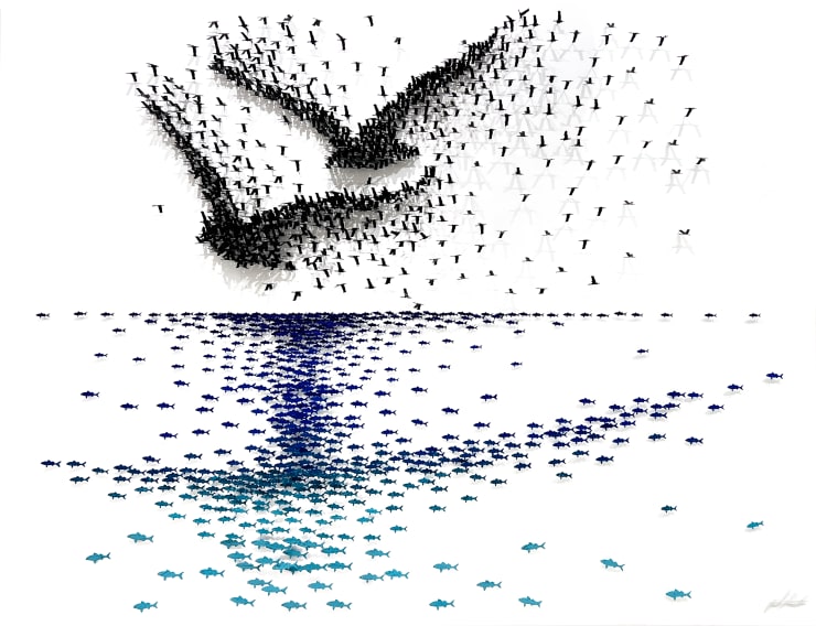 Joel Amit, Love Birds