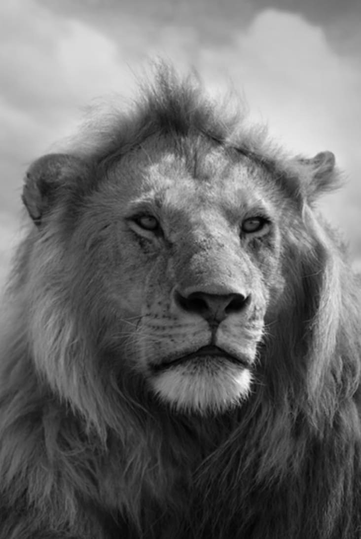 Bjorn Persson, Pride