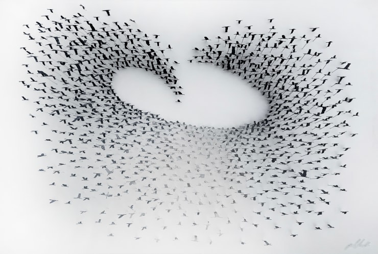 Joel Amit, Galaxy of Birds | Grey Gradient, 2023