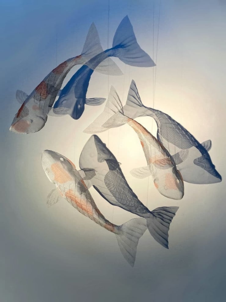 David Begbie, KOI, 2023