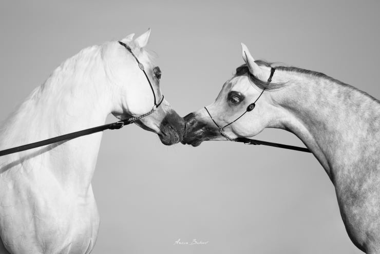 ARTUR BABOEV, A second, 110x74cm, 2022