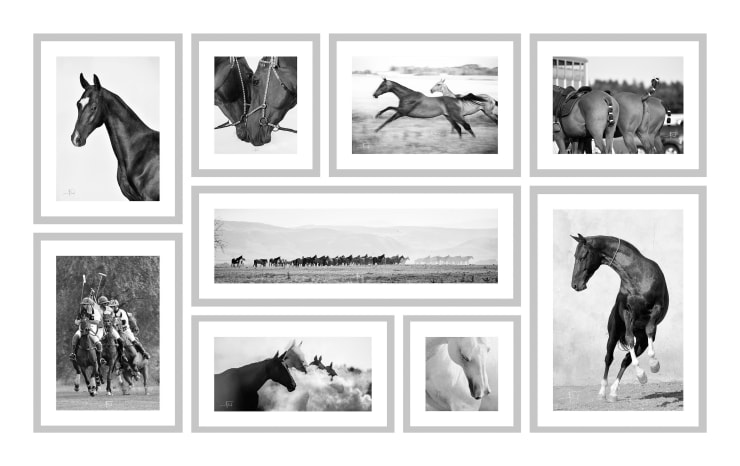 ARTUR BABOEV, Horse Collection, 200x120cm