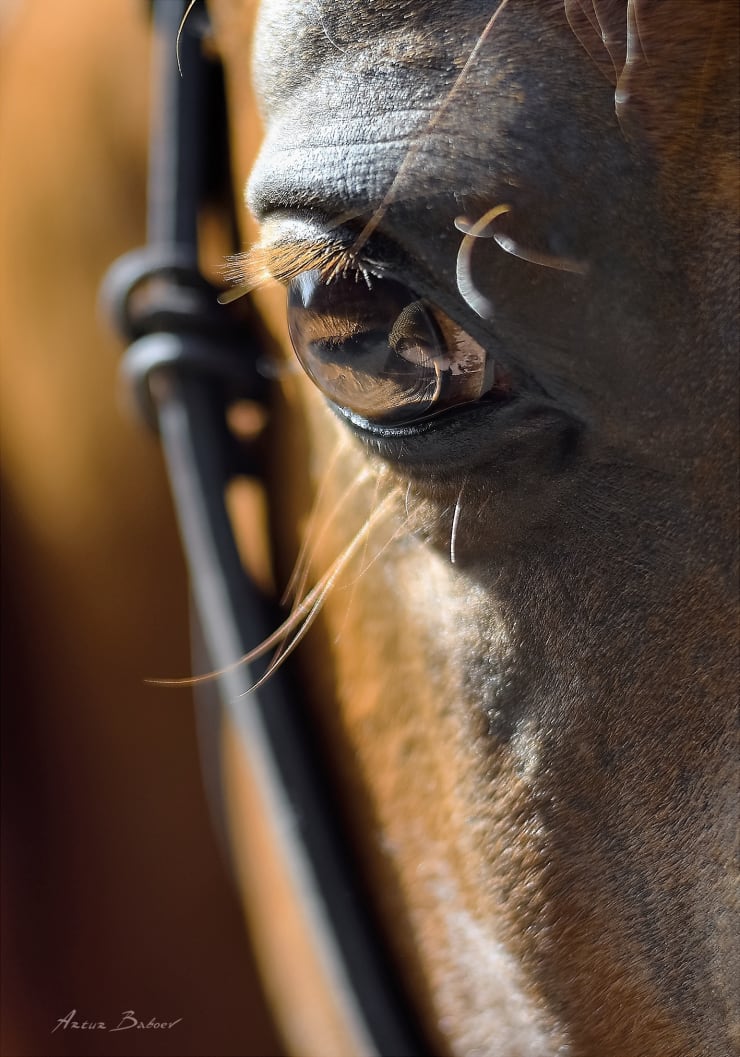 ARTUR BABOEV, The Diptych ABHA (part 2), 2018