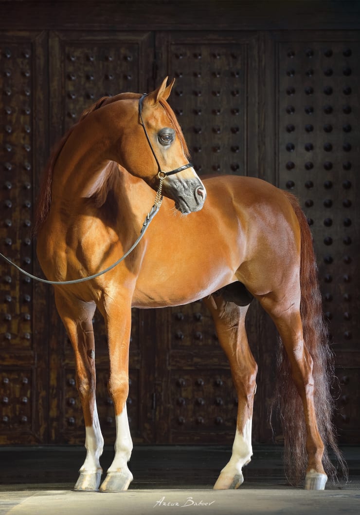 ARTUR BABOEV, The Diptych ABHA (part 1), 2018