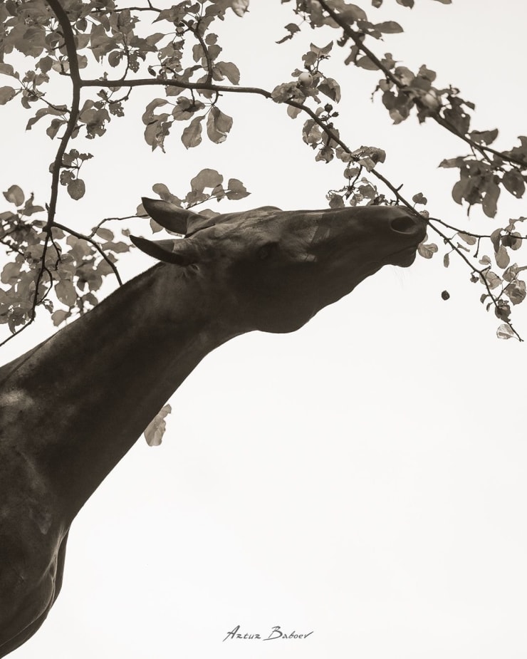 ARTUR BABOEV, IN THE GARDEN, 100x80cm, 2025