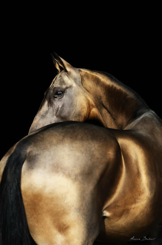 ARTUR BABOEV, Golden, 92x72cm, 2010