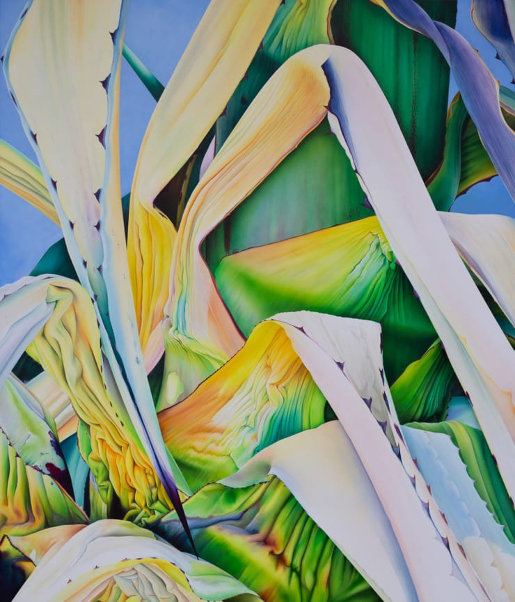 Adele Renault, La Fleur de l'Age, 2024