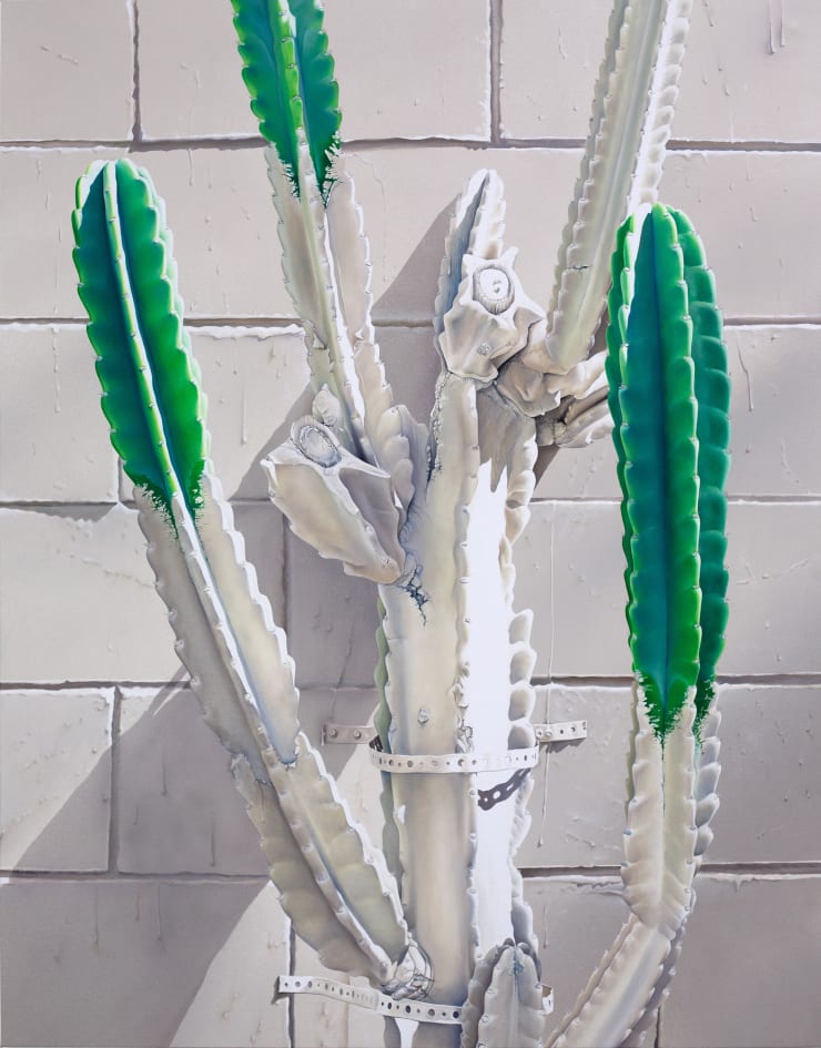 painting of cactus that has been painted white