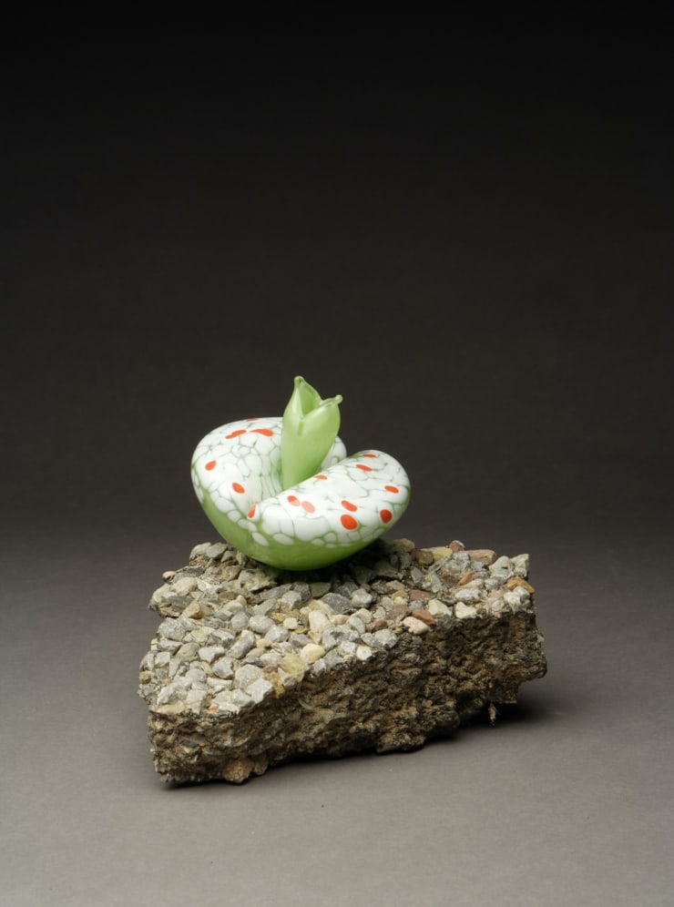 Flo Perkins, Living Stone Asphalt