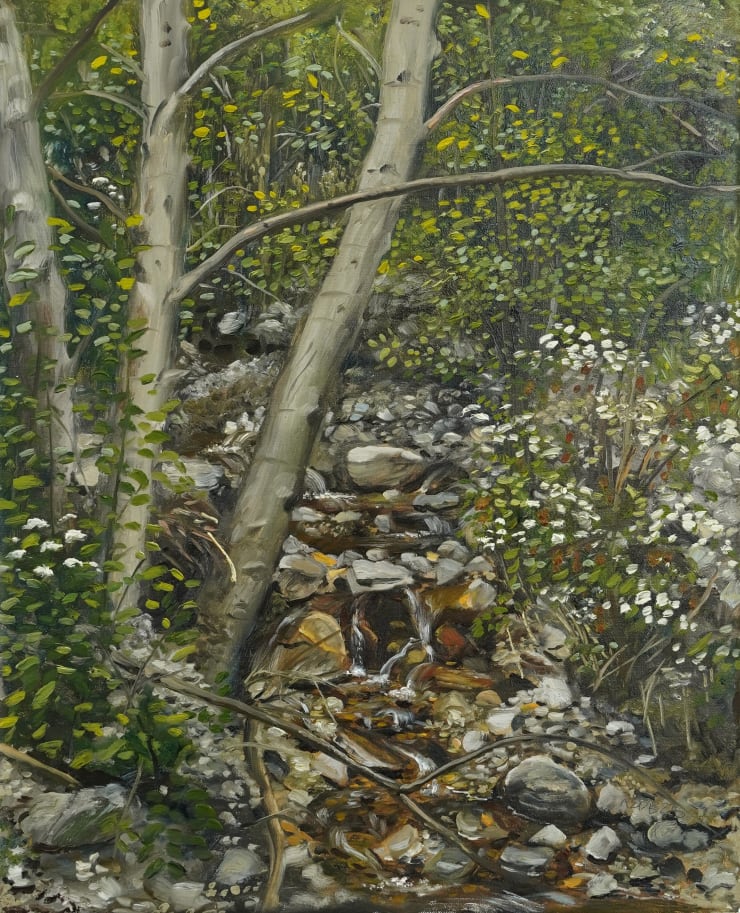 Andrew Durgin-Barnes, Stream in Deukmejian Wilderness, 2025