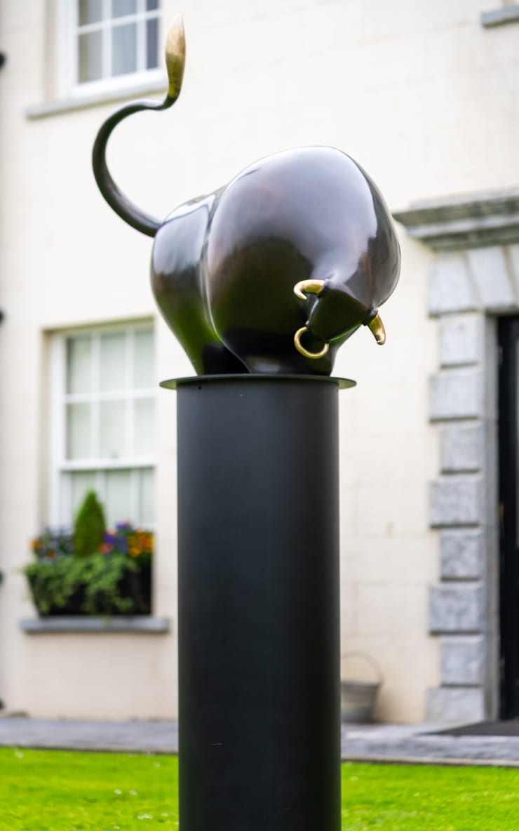 Patrick O'Reilly, Donn Cuailnge