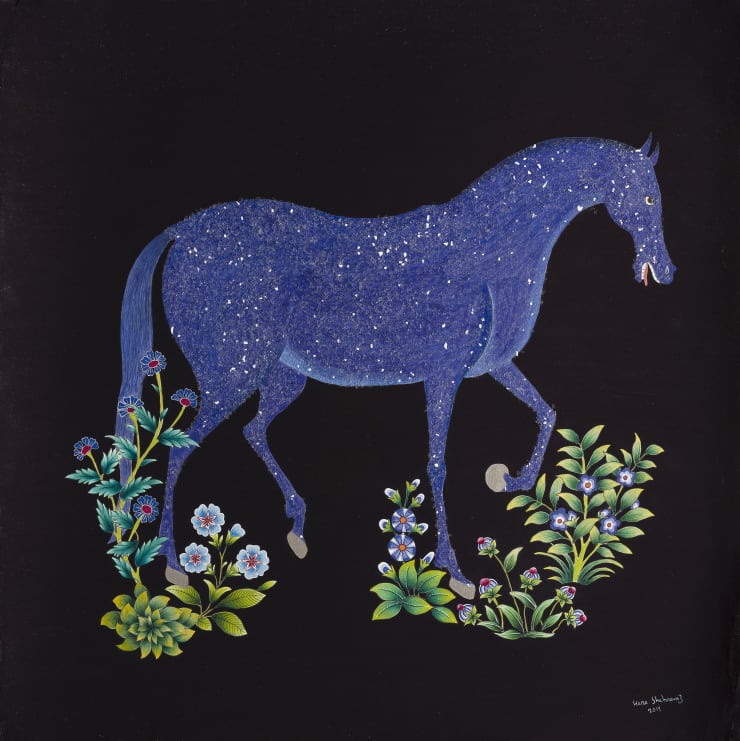 Hana Shahnavaz, Sky Horse