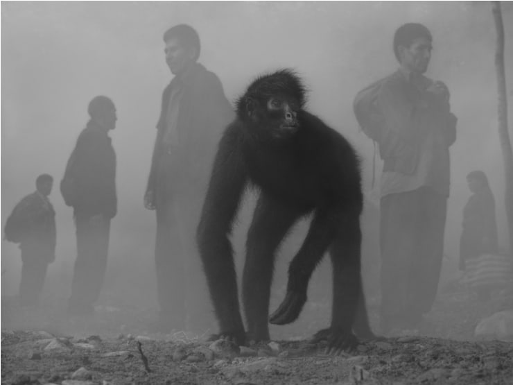 Nick Brandt, Tricia and People in Fog, Bolivia, 2022