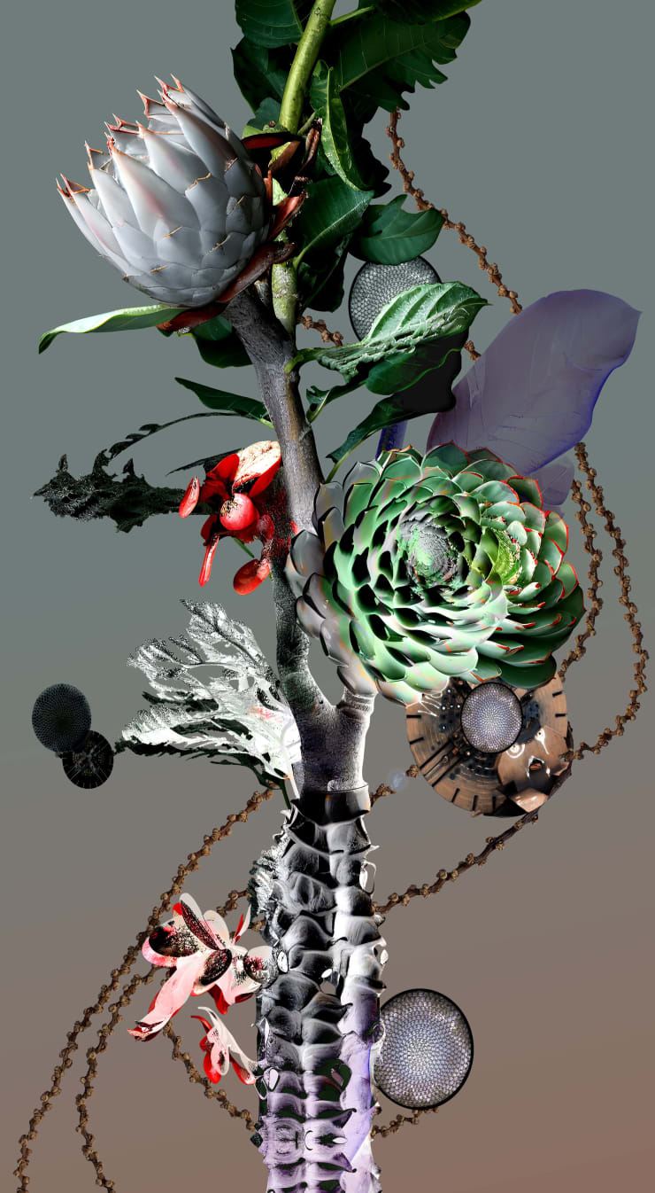 Claudia Jaguaribe From the series Viveiro, 2024 Fine Art Print mounted on dibond Frame included 40 x 22 cm Edition of 5