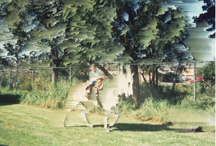 Cristóbal Ascencio, White Horse, 2022